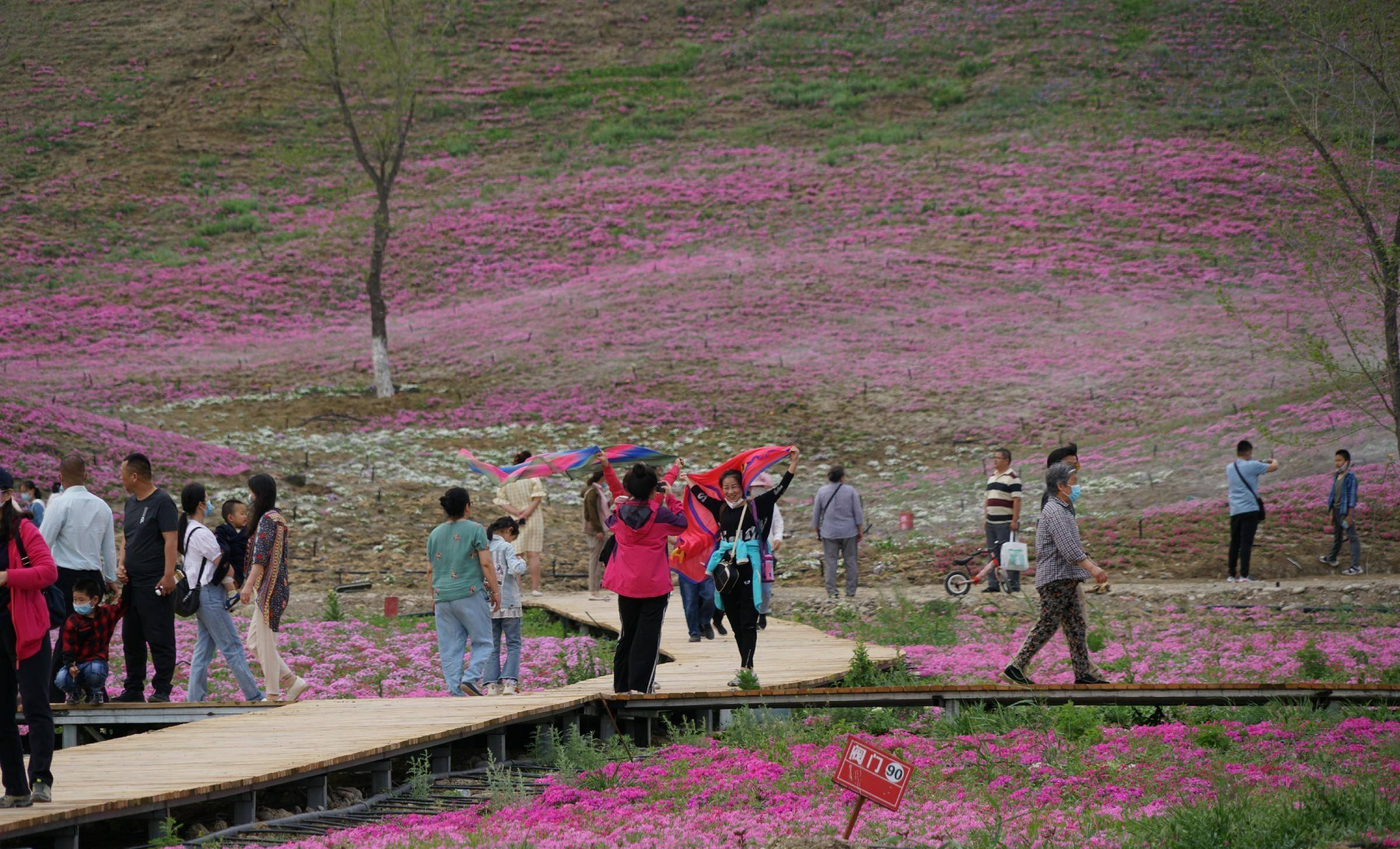 军垦第一犁石河子高中城石河子驼铃梦坡位于150团距石河子子市一百
