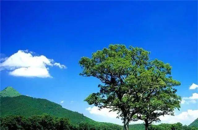 4亿年前的地球是什么样子？没有恐龙和人类，这才是人间天堂！这才是人间天堂(图4)