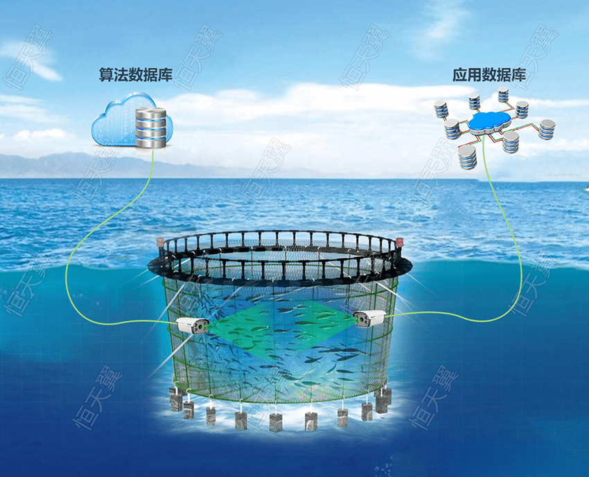 智慧渔业养殖有什么优势?智慧投喂比传统人工喂养更智能更高效_过程_