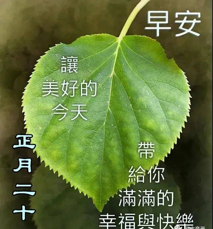 8张最美春日风景早安图片带字带祝福语 好看的春天风景早上好问候祝福