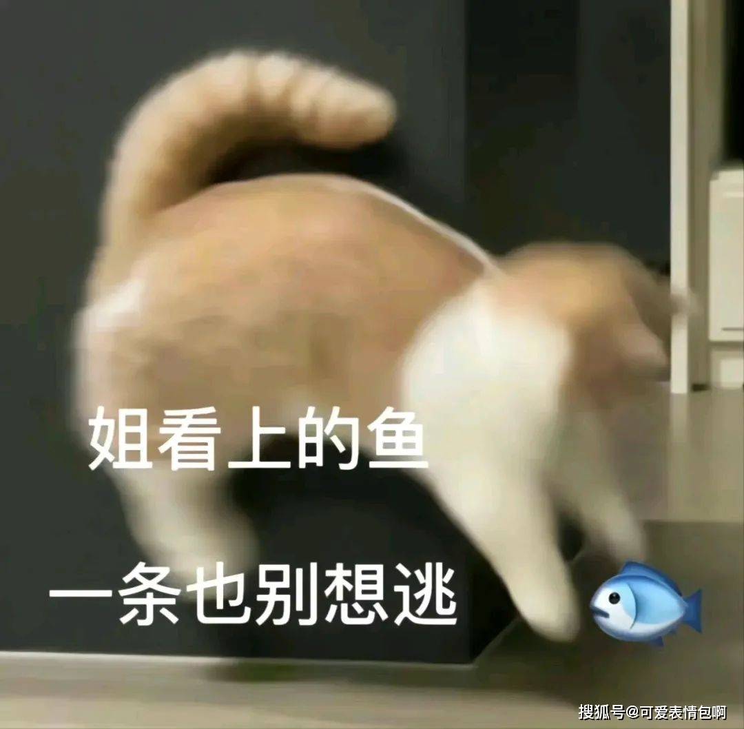 近期微信热门脸色包（有猪猪侠）