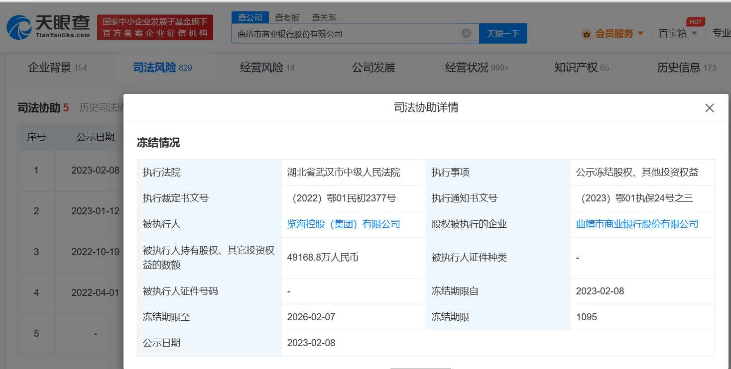 览海控股所持4.9亿股权被冻结