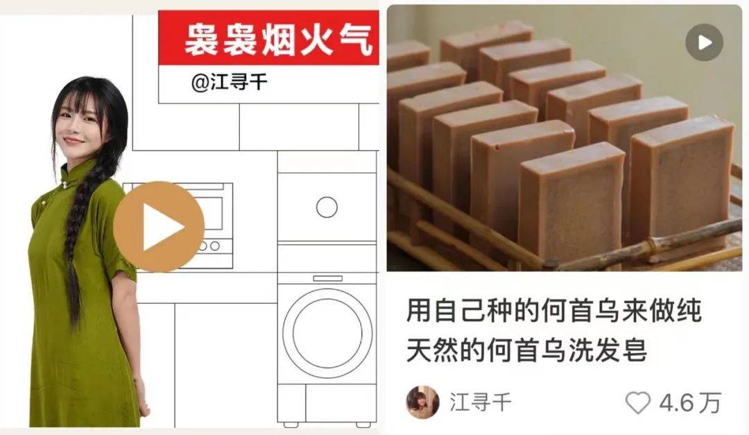 东芝合作小红书“生活家俱乐部”,探索原生IP营销的长期价值_活动_匠人_用户