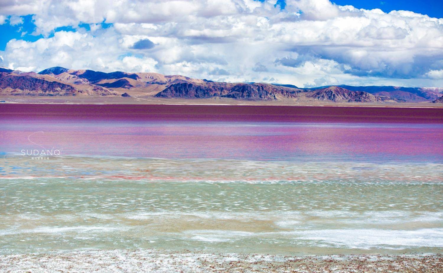 羌塘无人区的罕见风光:扎布耶茶卡,西藏唯一的粉红色湖泊_盐湖_天空