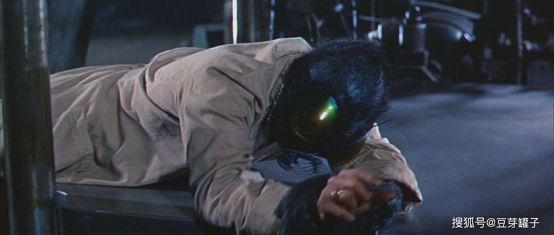 1958科幻片《变蝇人》,手法高超的惊悚片,也是个悲剧的爱情故事_丈夫