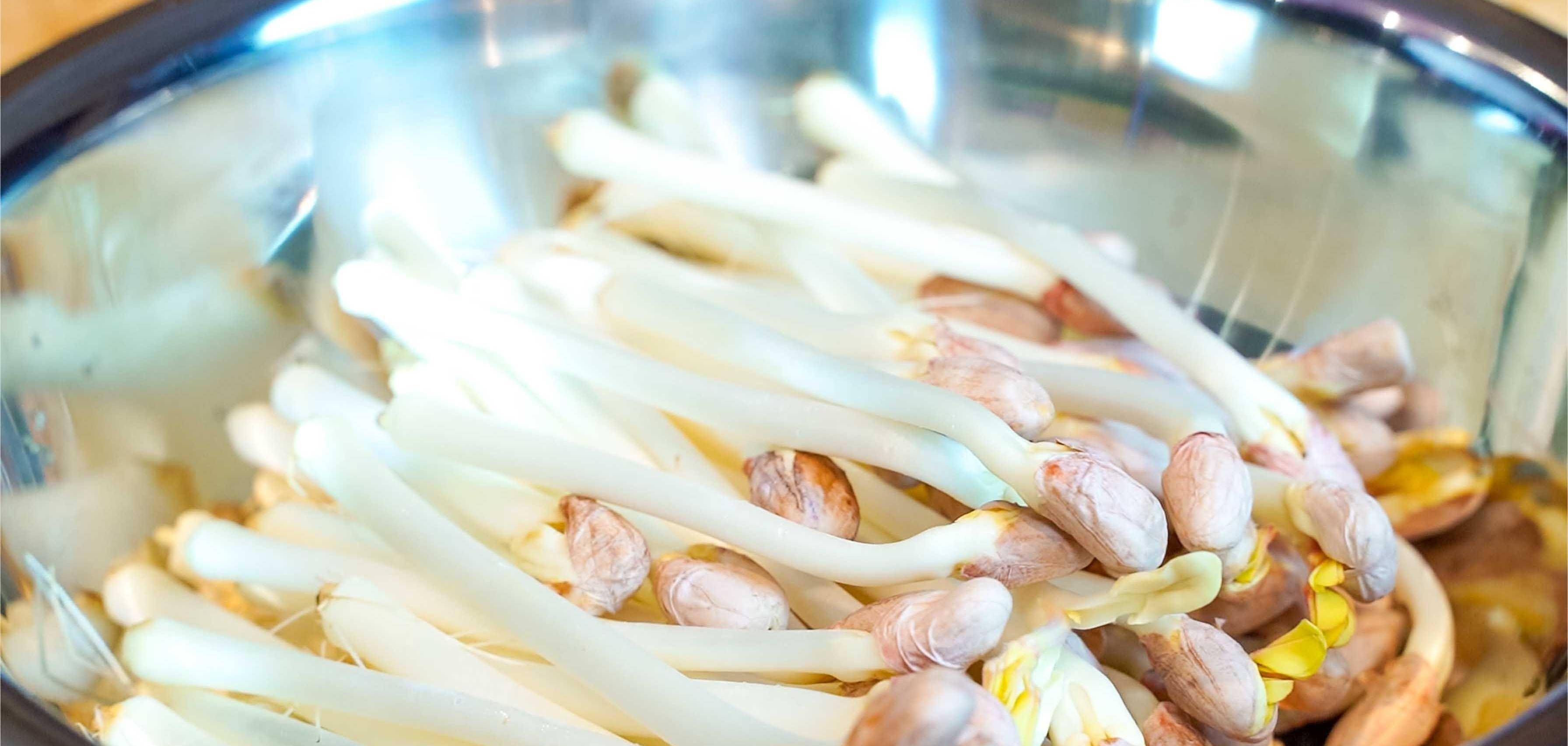 餐厅"花生芽炒肉丝"卖火做法,口感清甜爽口,很多人做错这步_五花肉