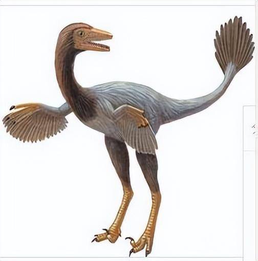 尾羽龙敏迷龙恐爪龙恐爪龙是最著名的驰龙科恐龙之一,且是迅猛龙的