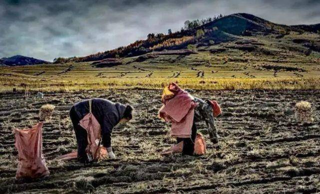 为打击俄罗斯,美国准备拉全世界陪葬:饿死所有人_化肥_制裁_问题