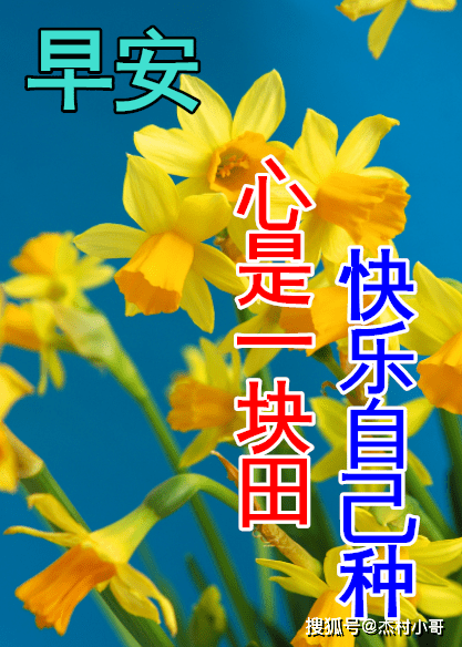 2月16日早上好祝福语图片大全，问候动态表情图片大全！
