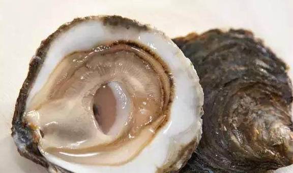 熊本生蚝、西雅图奶油生蚝……美国**生蚝大赏！(图14)