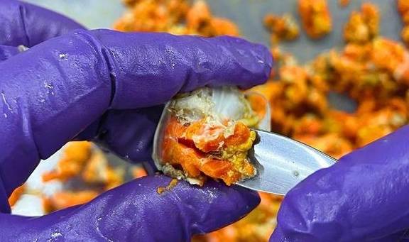 蟹黄蟹膏蟹肉都剥好了，张嘴！(图13)