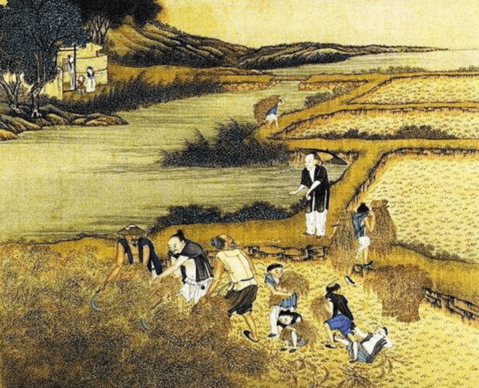 探究唐朝不仕则农的产生:技术进步与土地制度变迁_生产_农业_唐代