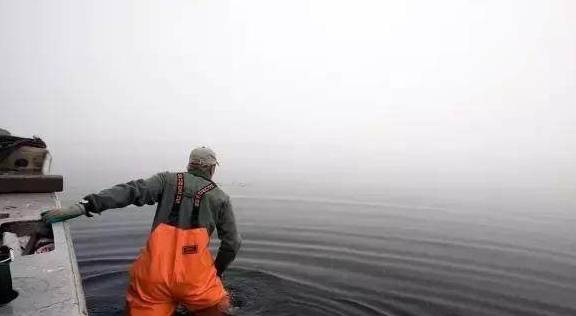 熊本生蚝、西雅图奶油生蚝……美国**生蚝大赏！(图18)