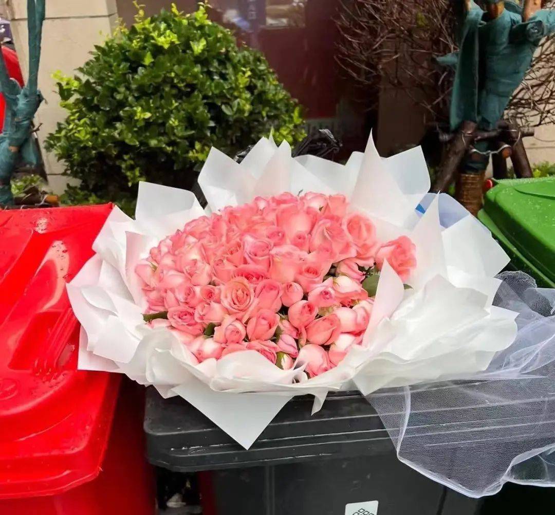 洱海_古镇_鲜花