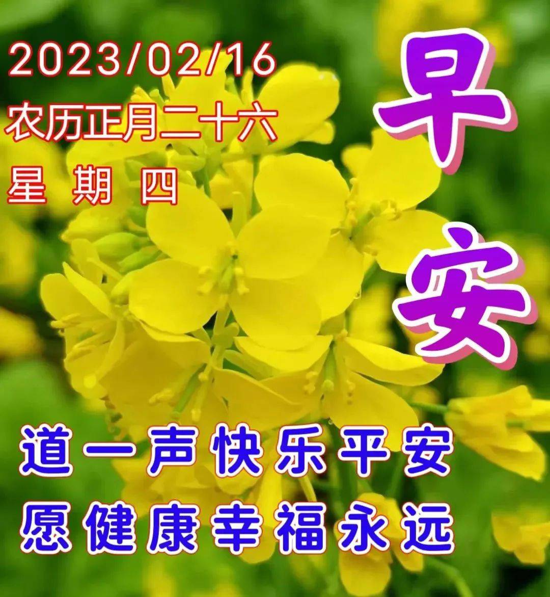 2023年2月16日正月廿六早上好问候祝福动态表情图片 周四最新早安问候