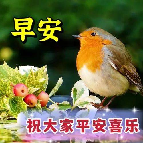 8张创意好看的春日清晨早上好祝福图片 最新早上好问候语图片