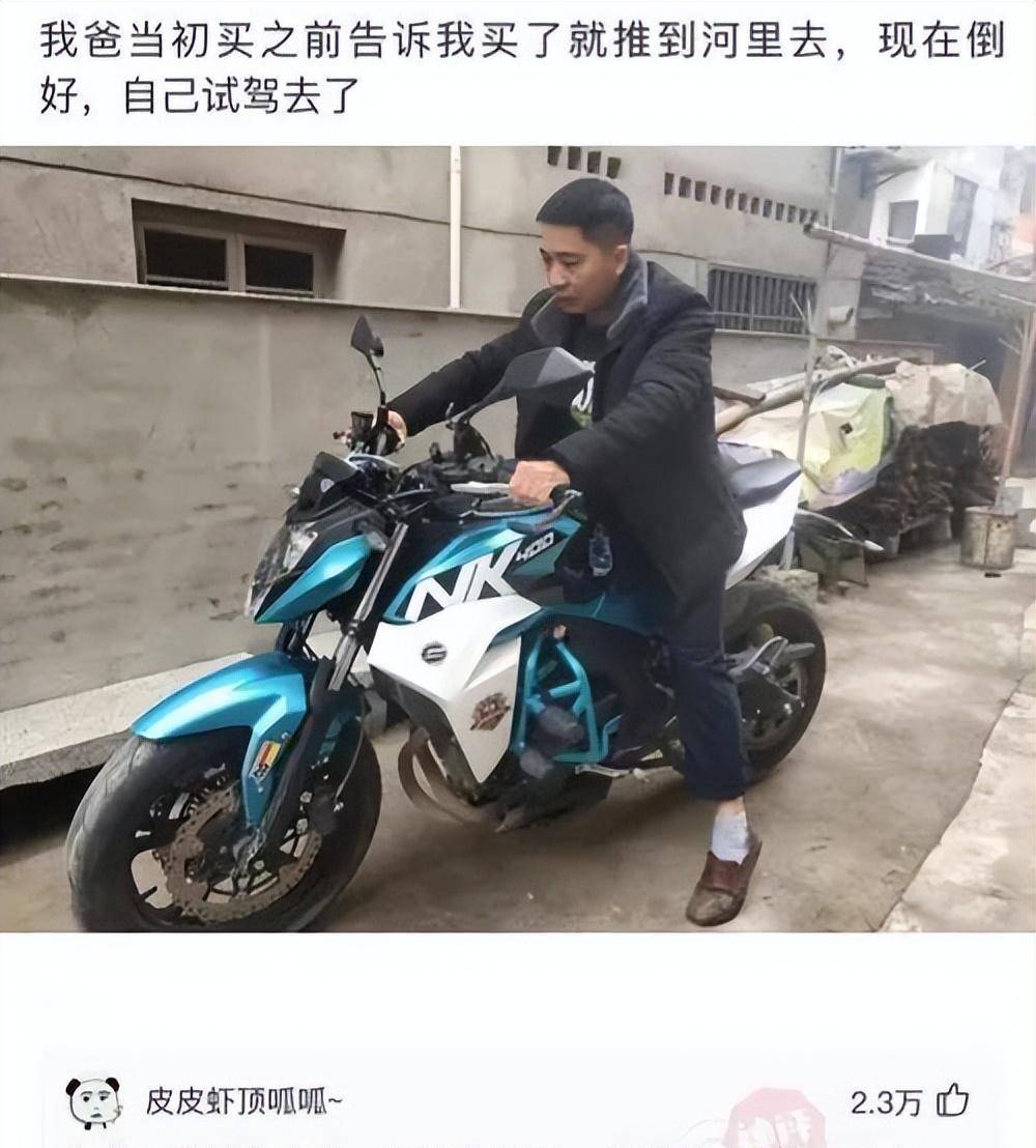 变身成马坐骑图片