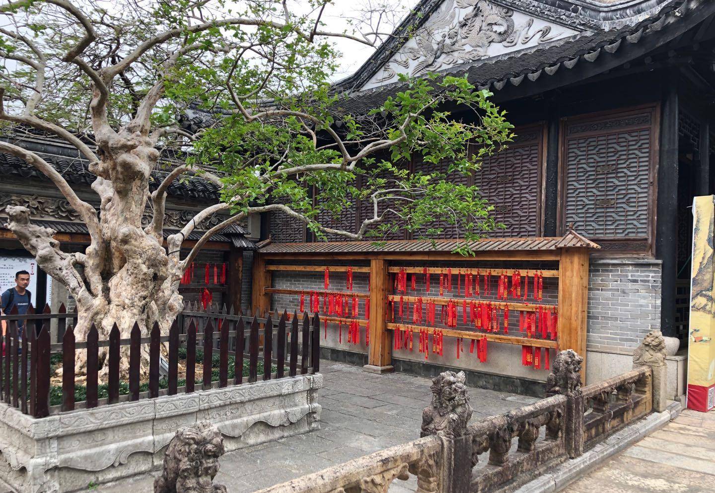 中山詹园-入选广东第五园,岭南片区罕见的江南园林_传统_植物_历史