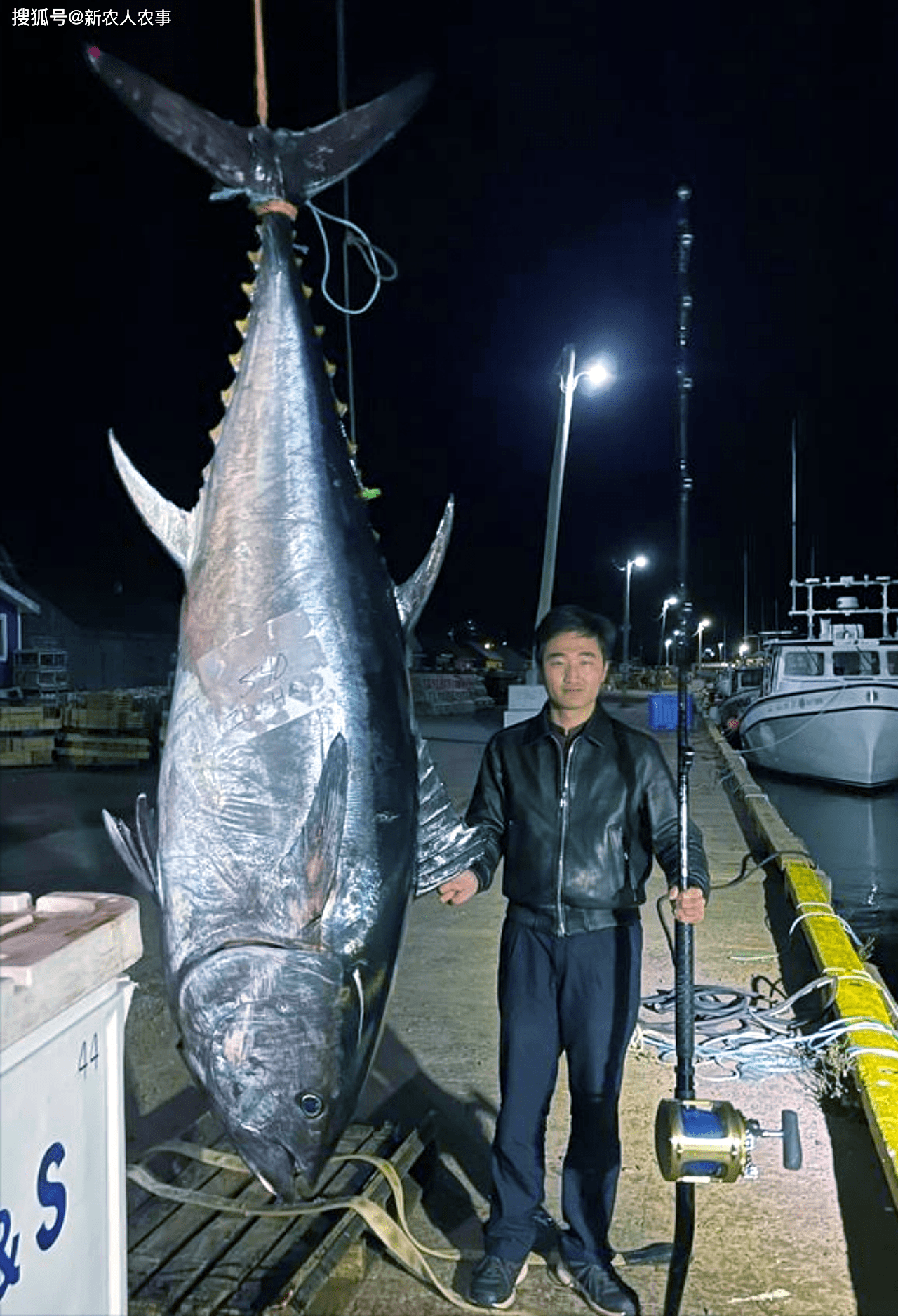 中国人在加拿大海钓,中大鱼后和国内钓友反应一样_金枪鱼_大西洋