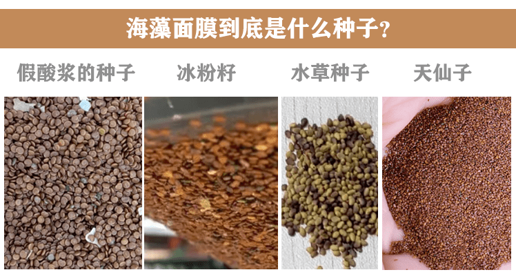 海藻面膜到底是什么种子?海藻面膜的功效与作用?(揭秘真相)