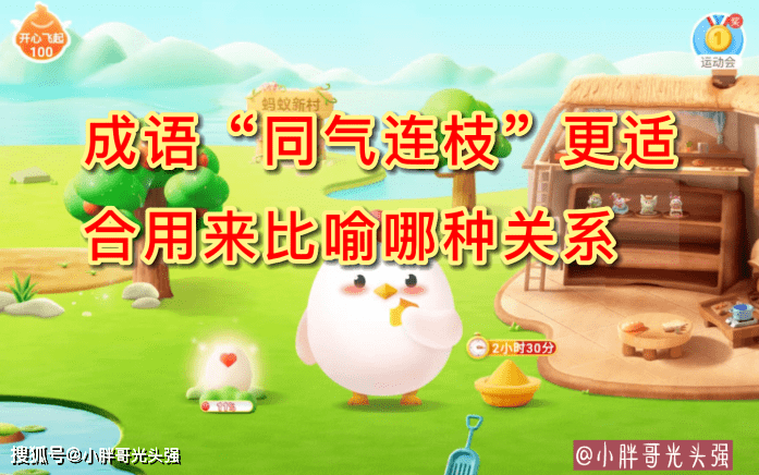 成语“同气连枝”更适合用来比喻哪种关系？蚂蚁庄园小知识_手机搜狐网