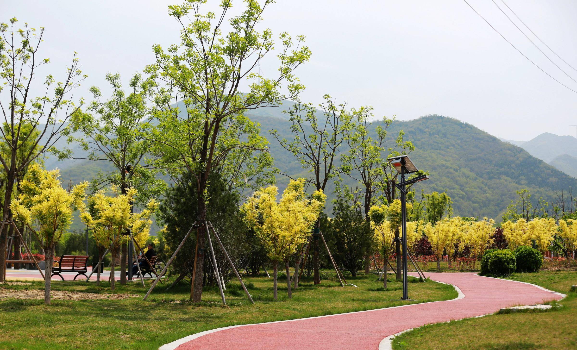 运城南山脚下的这处绿化景观,踏青游玩好去处_游园_市民_城市