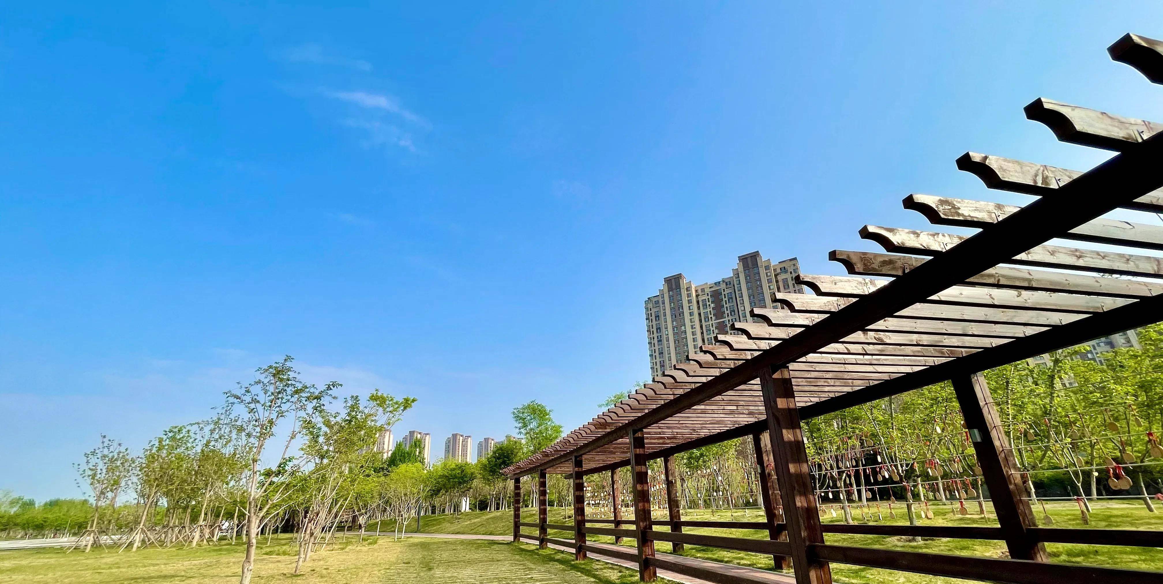 北京东:家门口就能看樱花的潮白河樱花公园,看樱花露营坐火车_走廊