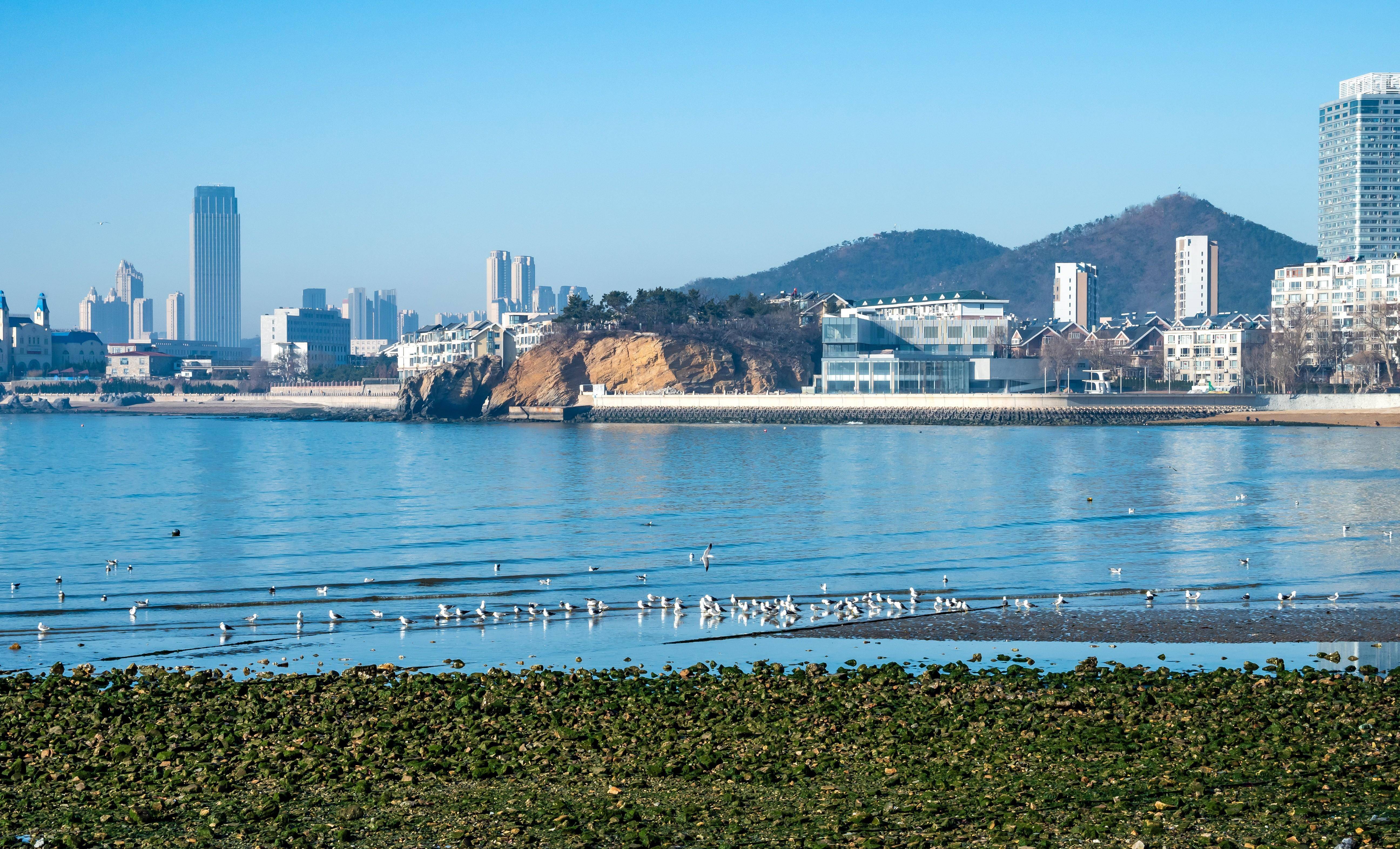 旅游城市大连历史最悠久的海滨公园,童年春游打卡地,星海公园