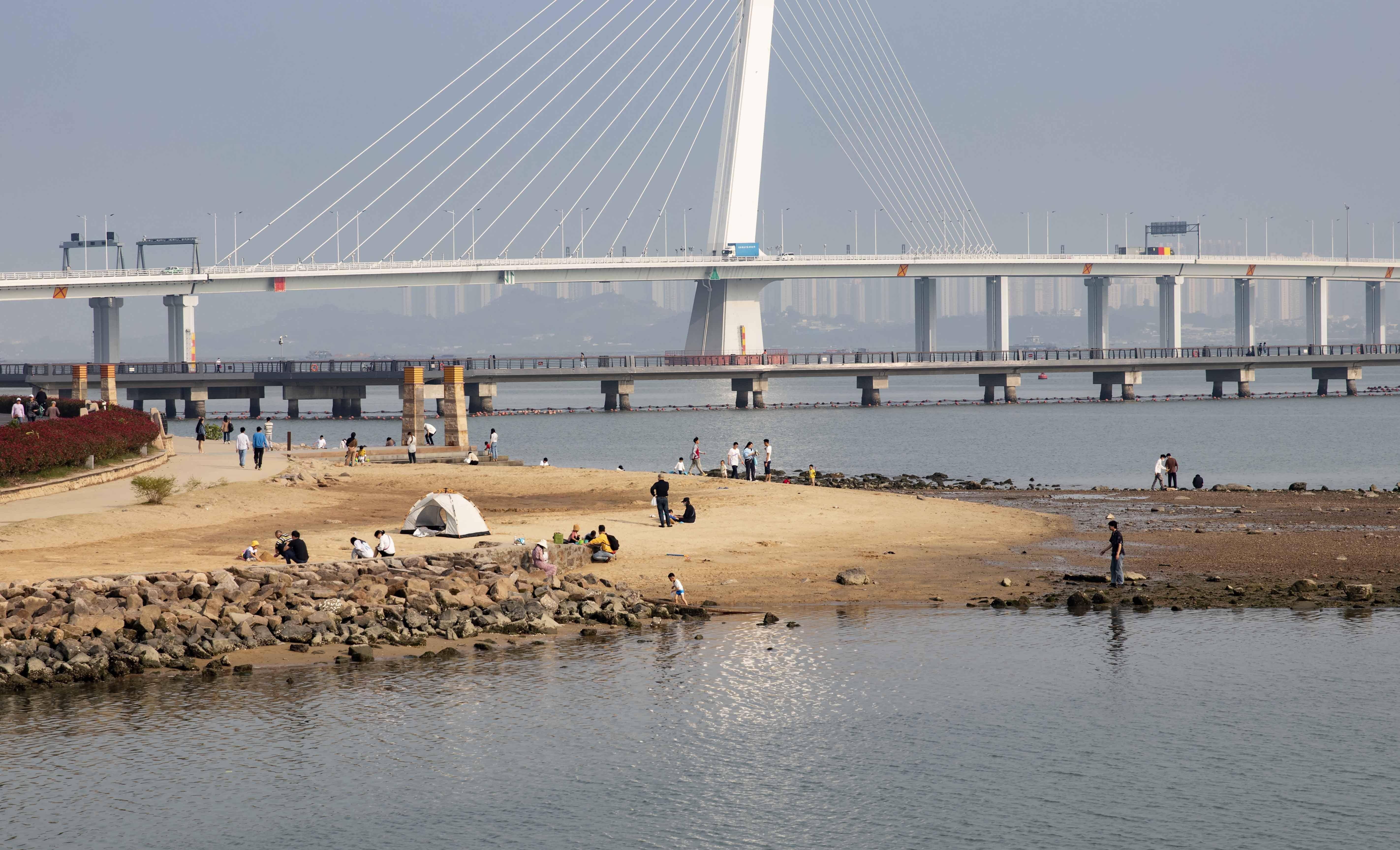 二月的深圳湾公园,惠风和畅,景色怡人_蛇口_长廊_白鹭