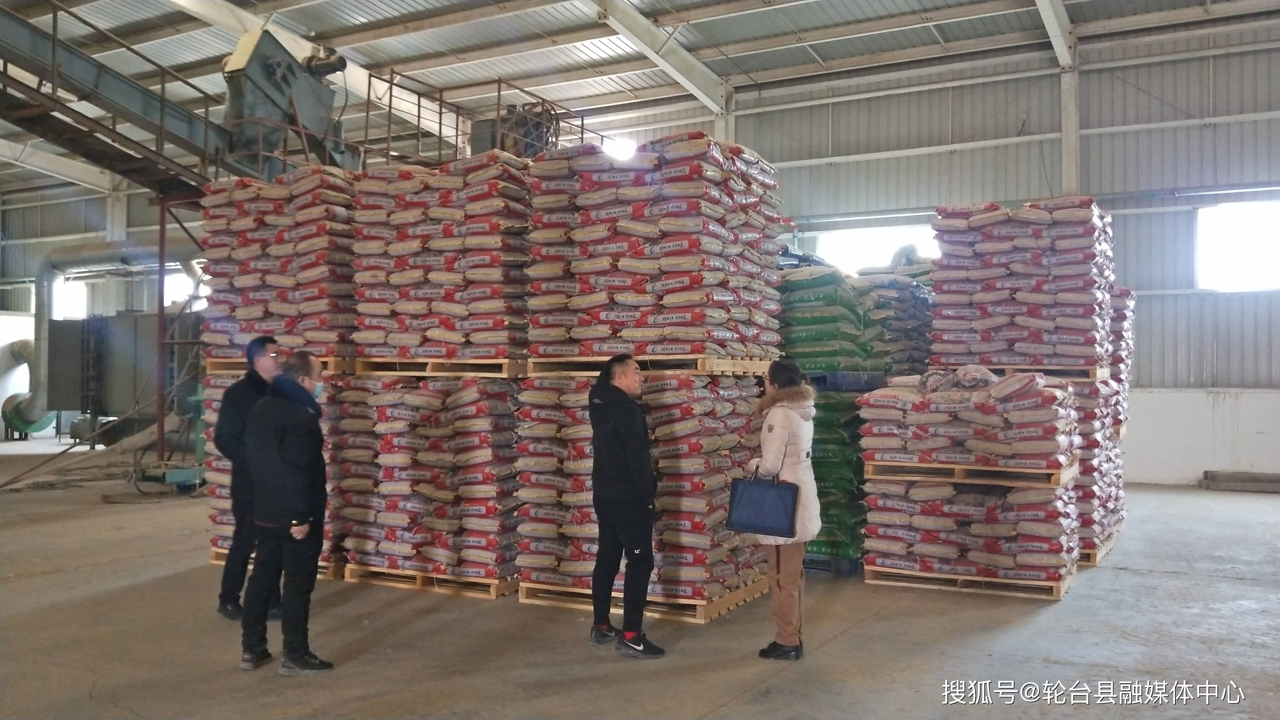 新疆国欣种业有限公司棉花种子生产加工厂车间机声隆隆,自动化加工