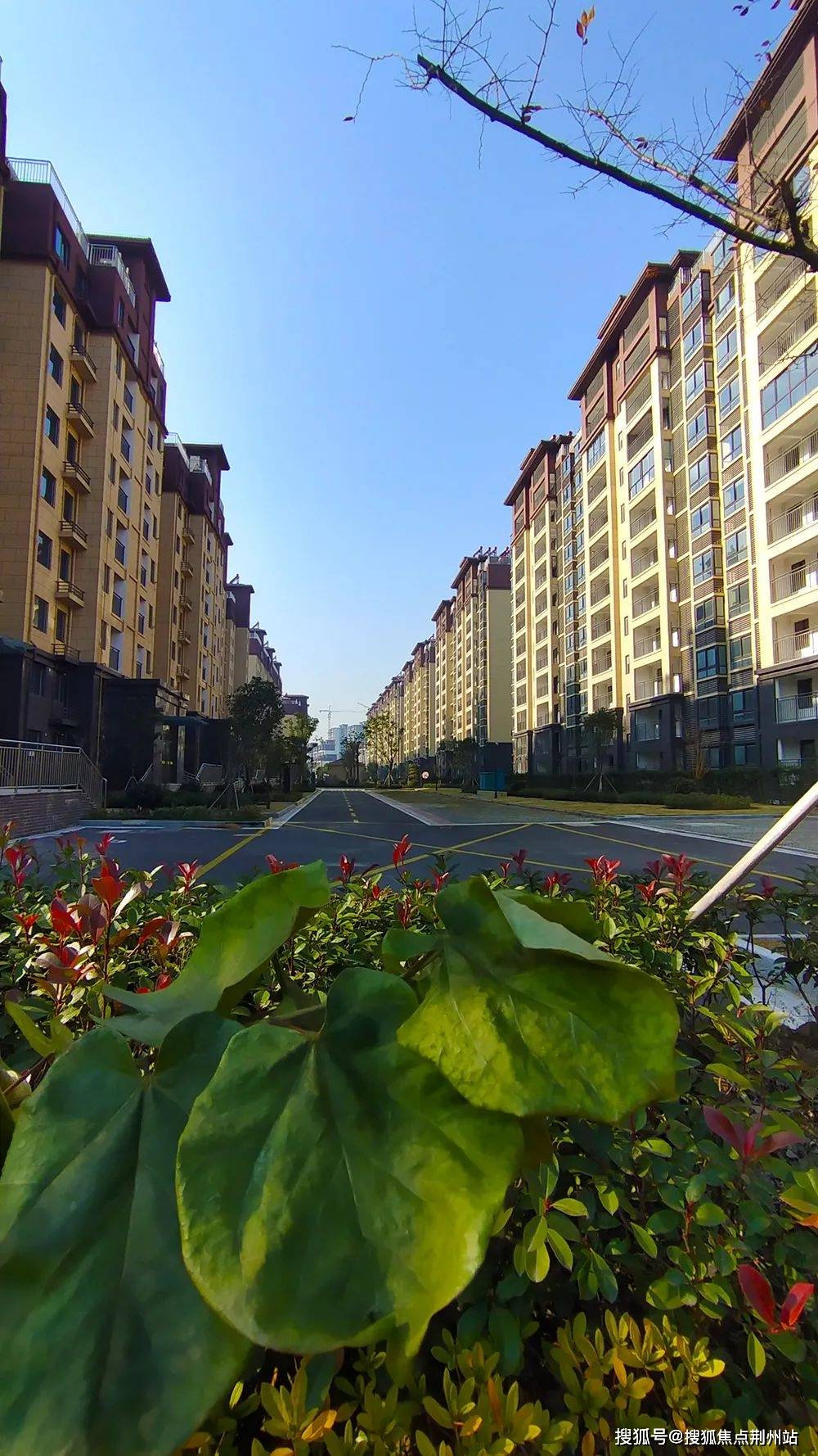 泰兴悦澜湾售楼处电话:400-995-1016转接1111_售楼中心_24小时电话