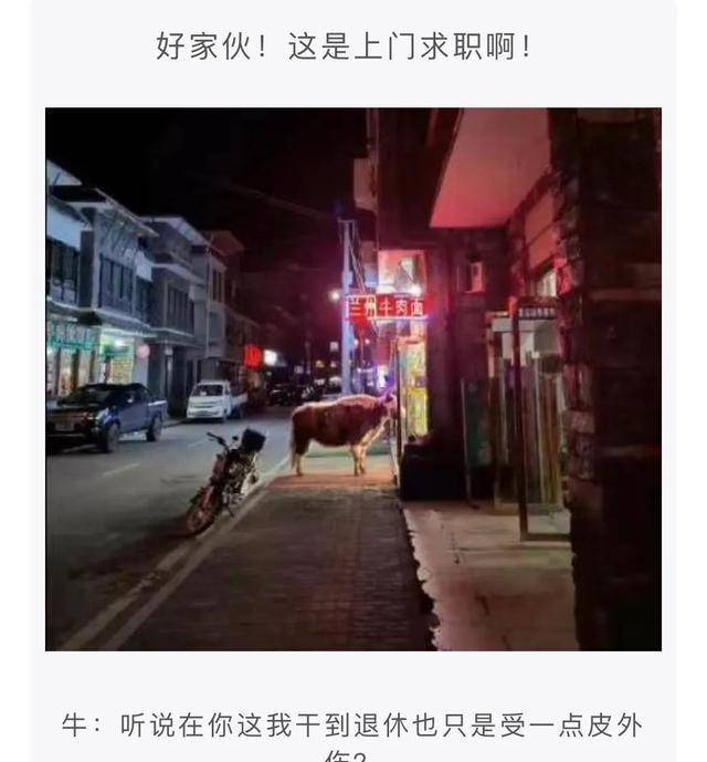 搞笑神评论：马能够用来拉车，牛能够用来耕地，那驴用来干嘛？