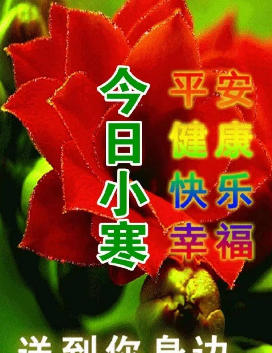 1月5日小寒节气愉快 早上好温馨表情包图片带字 小寒祝福语图片大全