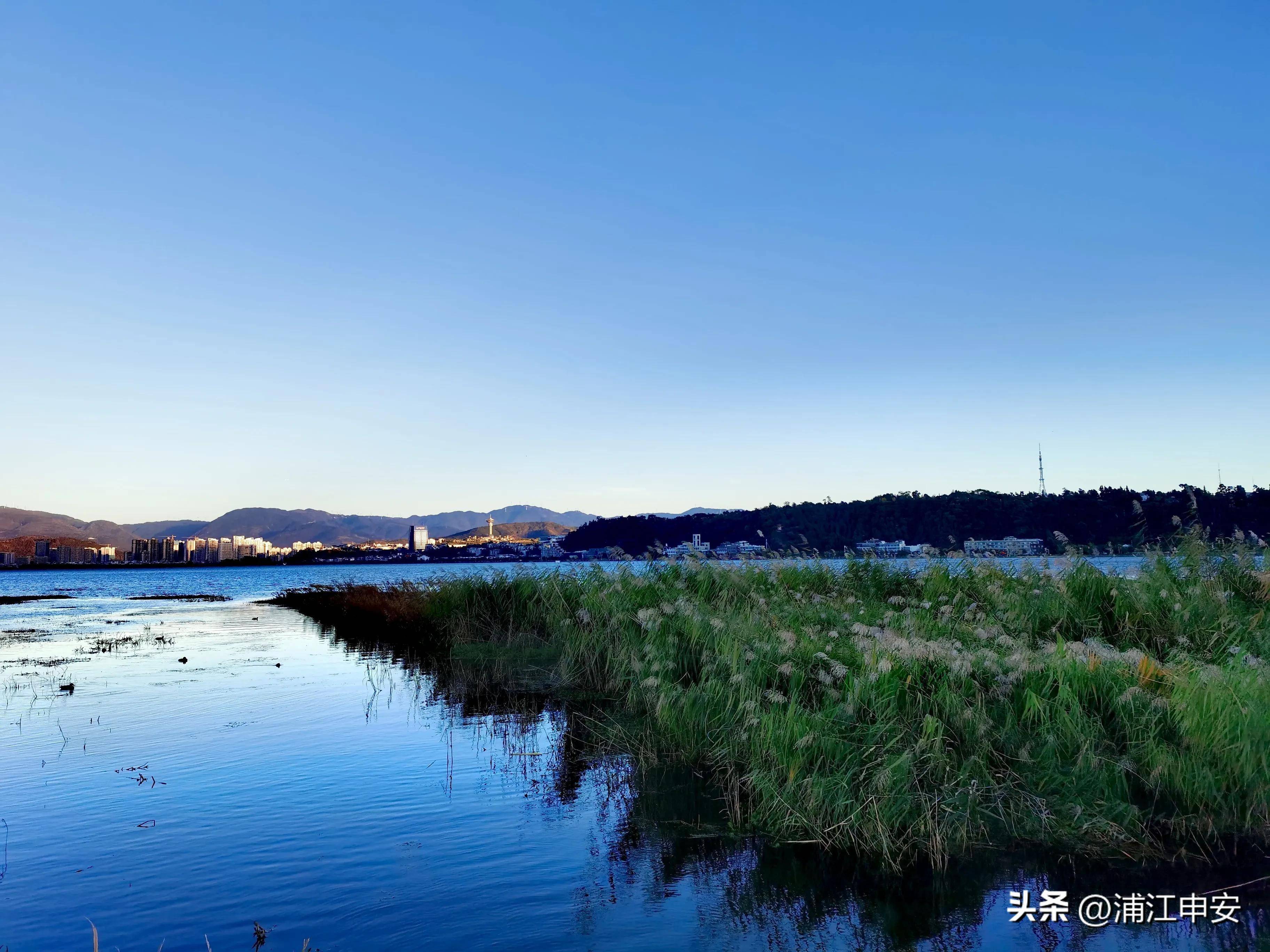 景美人少的洱海月湿地公园 云南大理环洱海游记_风景_游人_生活