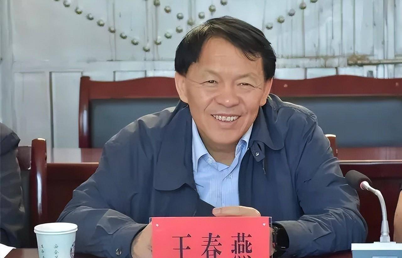 段颖"背后的男人",调段局长到身边当助理,官至副厅后倒了_王春燕_领导