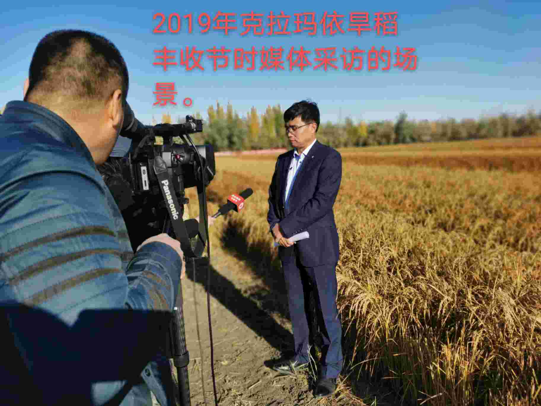 旱稻育种行业楷模人物-彭国威_农业_地区_种植