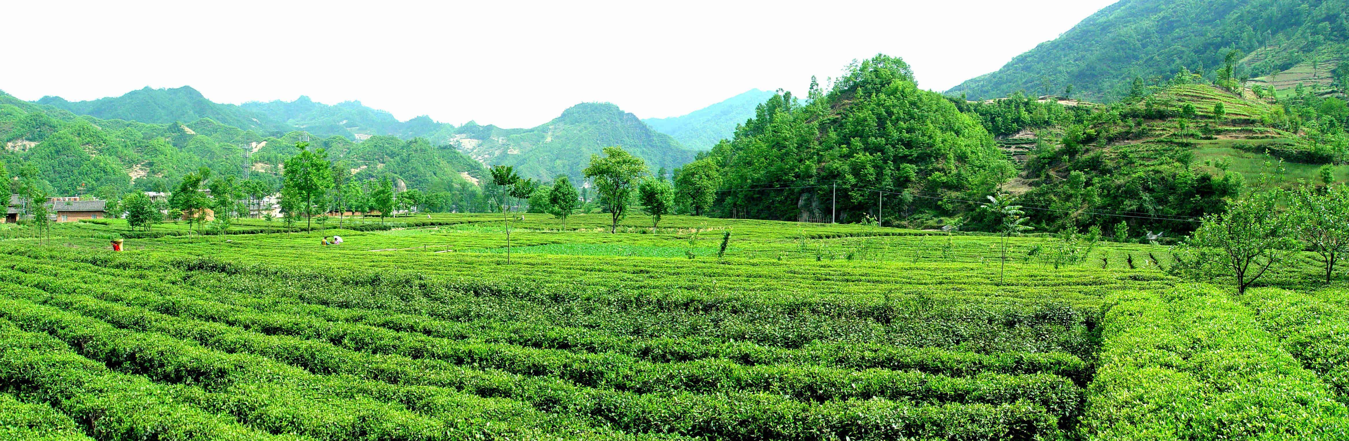 陇南康县旅游景点大全图片