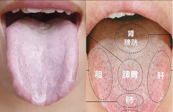 肾开窍于耳,容易耳鸣,脾肾两虚心肾不交,睡眠差,肝阳上亢容易,出现