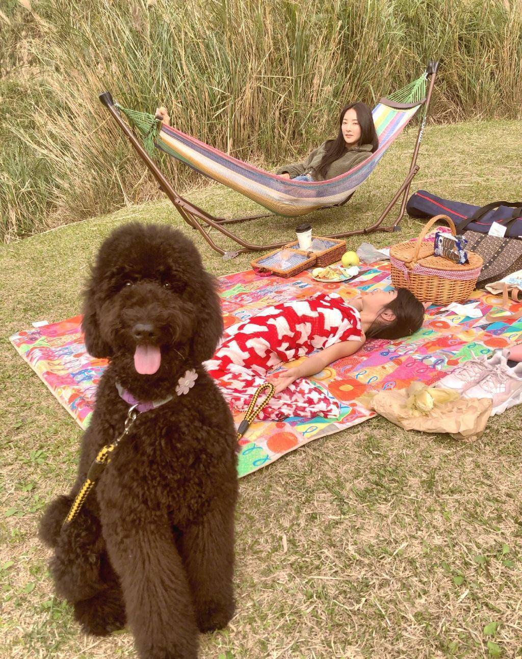 曹格還帶著grace去動物園,grace的頭髮已經很長了,依舊是齊劉海,對著