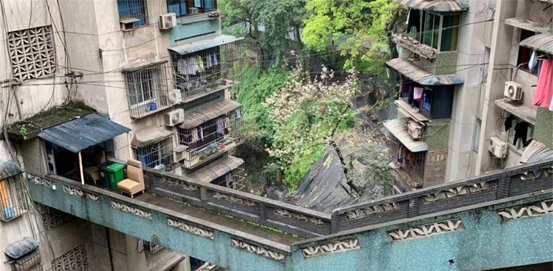 为跑得彻底,这位亿万富翁曾豪掷百亿去海外买房_张松桥_中渝置地_内地