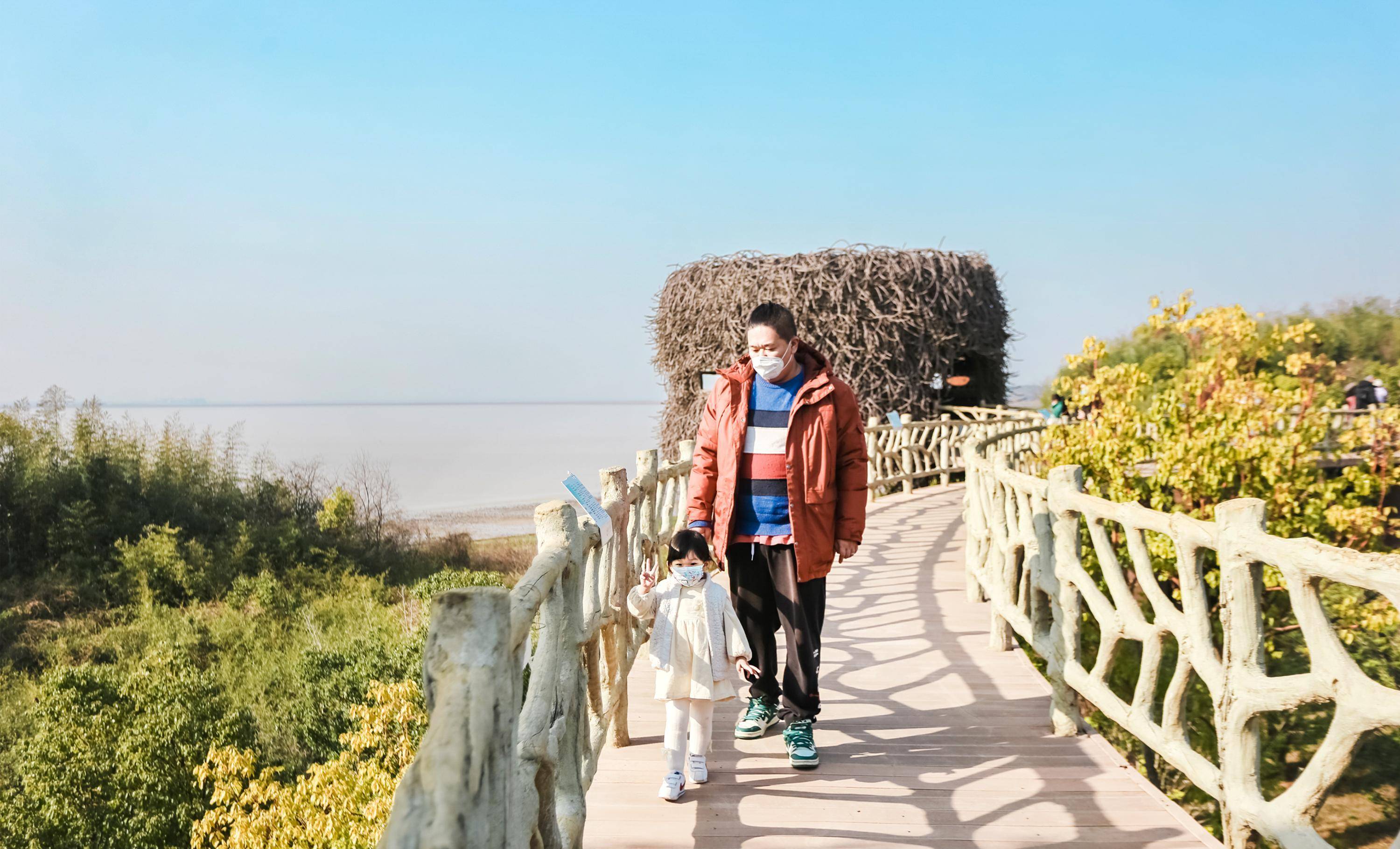 南昌九江周邊一日遊|鄱陽湖吳城觀鳥旅遊攻略_候鳥_時候_公路