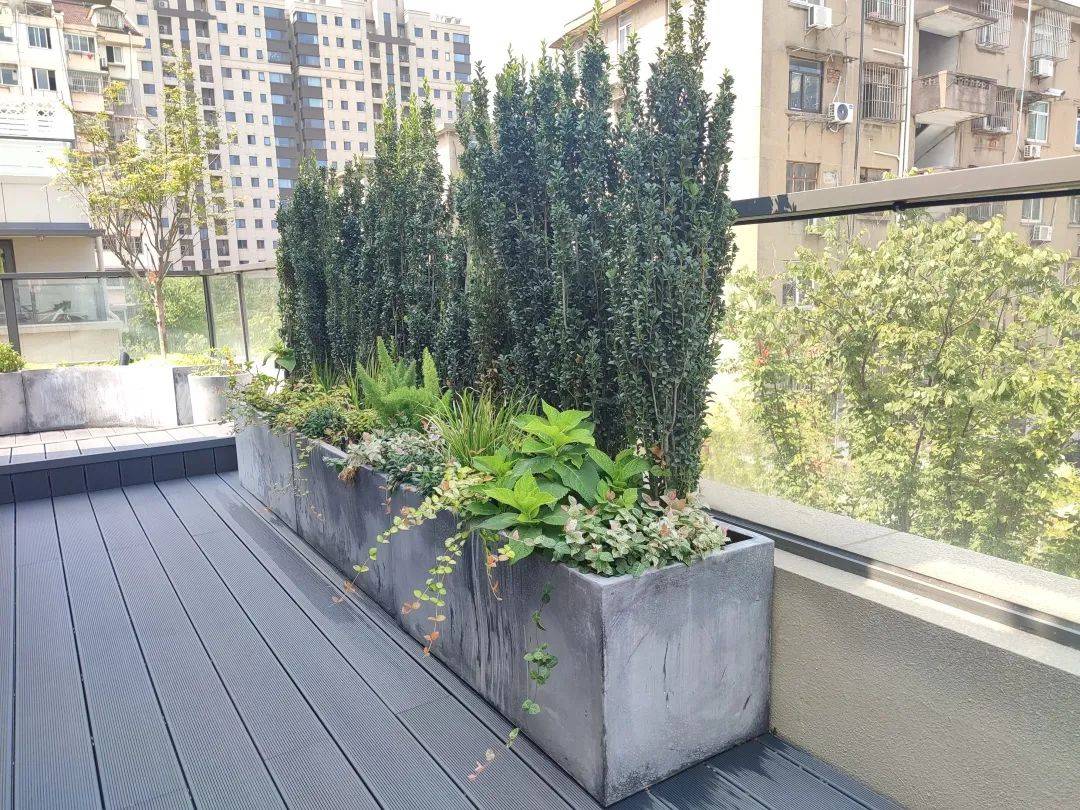 为了防止根系对屋顶建筑结构的侵蚀,应尽量选择浅根系的植物