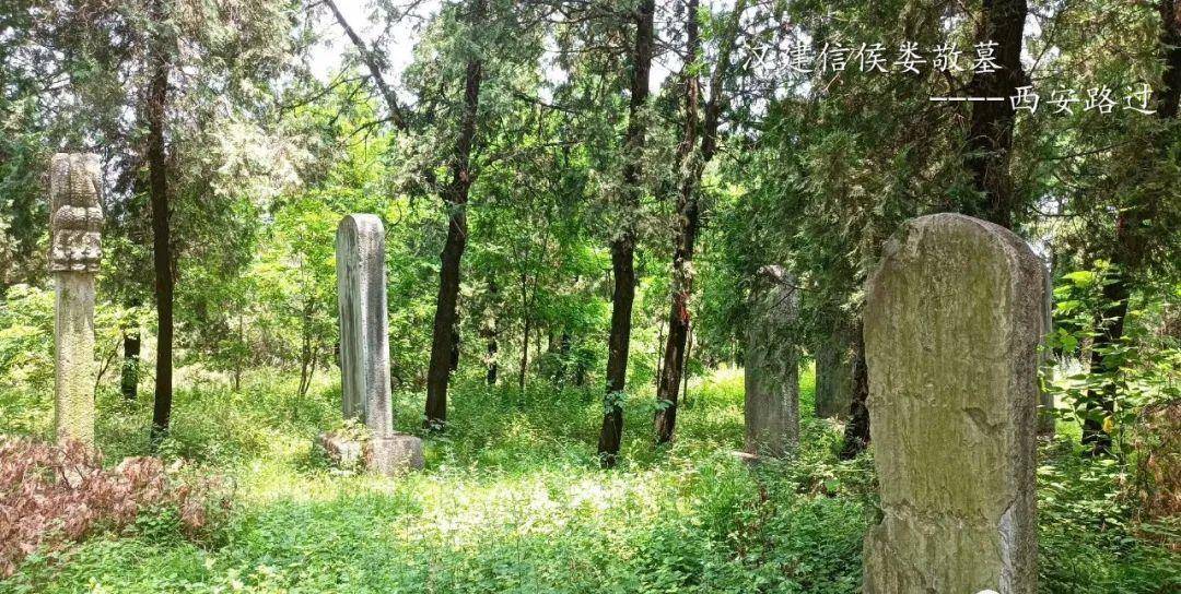 永寿娄敬山(汉建信侯娄敬墓)(西安路过)_寻找_道路_乾县