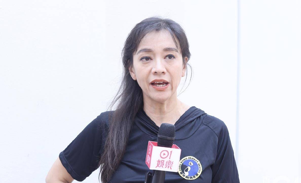 钱小豪前妻遭兽医追债,不满鸽子被治疗后死亡,拒支付6700手术费