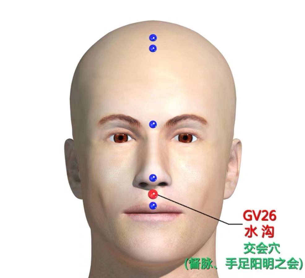 水沟穴：急救要穴，可谓是人体急救120_搜狐网, image size:985x898