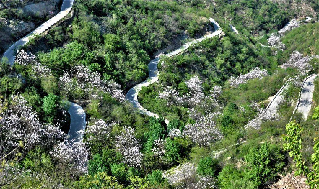 行走河南·读懂中国淇县千年古村落梨花竞芬芳_油城_乡村旅游_孙家寨