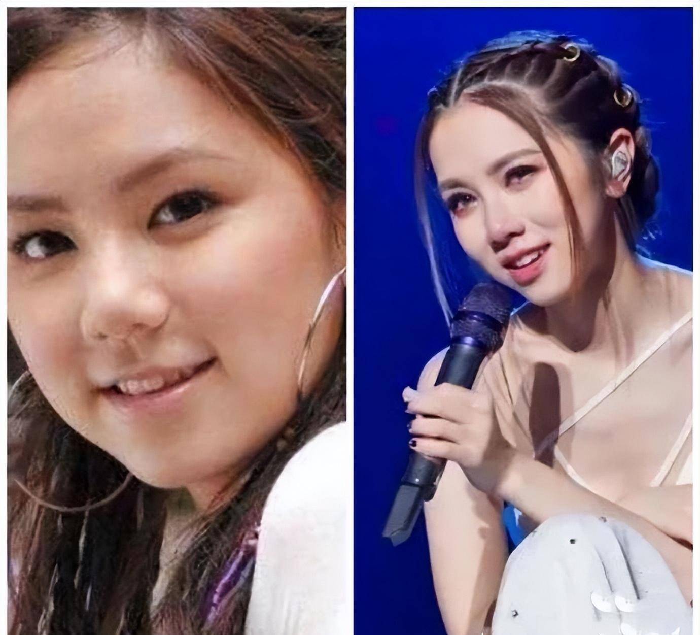 我们可以通过照片前后进行对比它的鼻子形态整个都