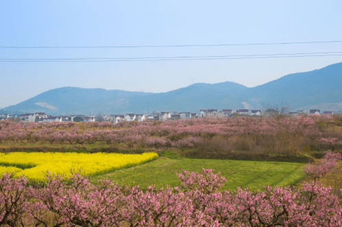 相约安徽·向春而行丨看那桃花盛开的地方…_仰山村_合肥市_西湖