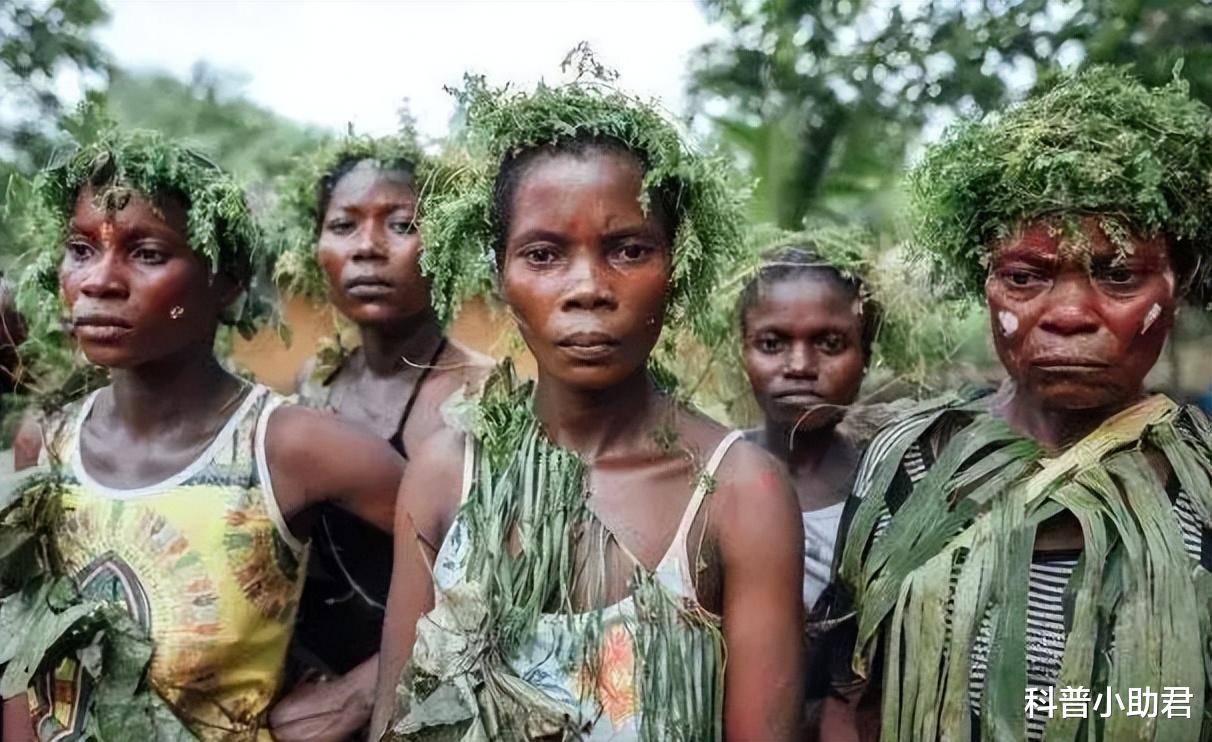 八九岁就可以正常生育,被世人遗忘的种族,俾格米人有多奇怪_进行_人类