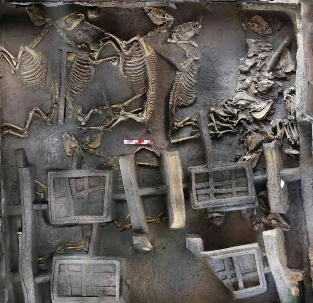 2022年度洛阳考古院汇报会——商周考古_遗址_墓葬_墓地